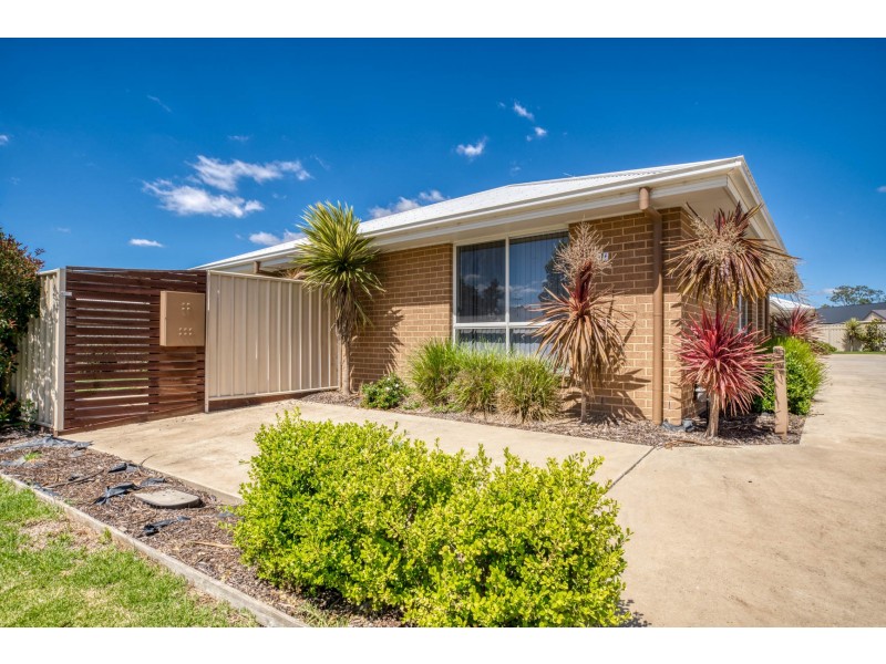 16 Pech Avenue, Jindera NSW 2642