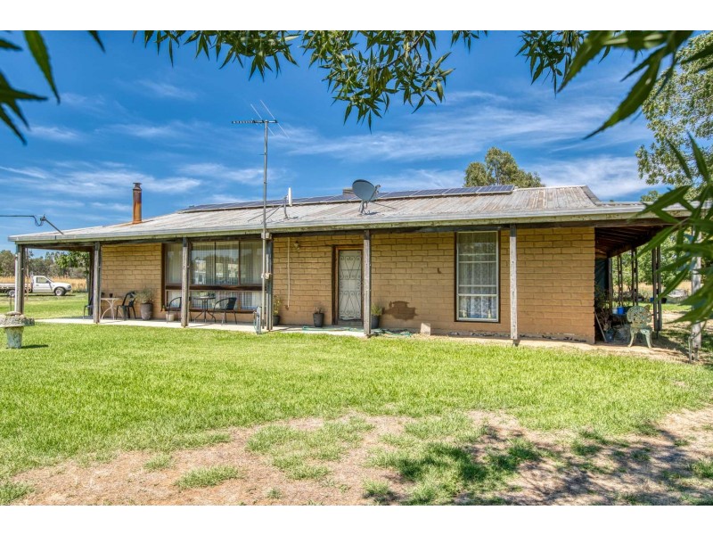 41 Vine Drive, Jindera NSW 2642