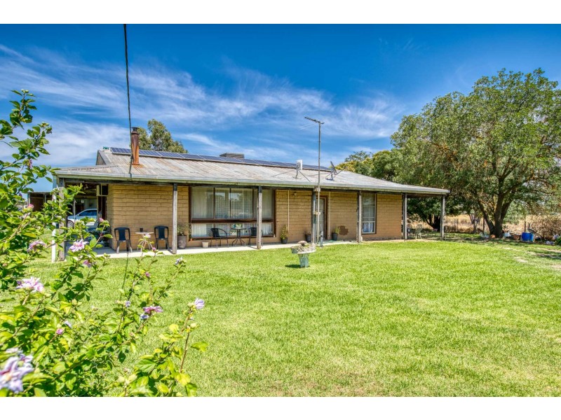 41 Vine Drive, Jindera NSW 2642