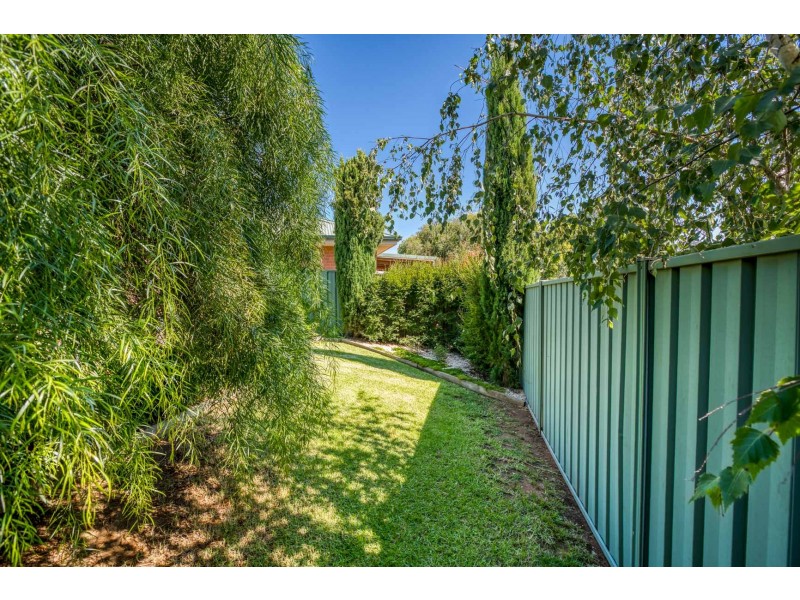 6/493 Rose Street, Lavington NSW 2641