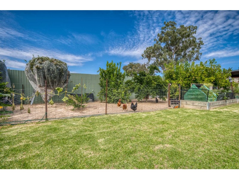 26 Nicola Place, Lavington NSW 2641