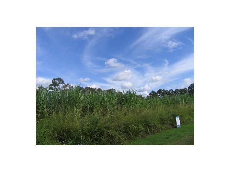 1 Dundas, Granville QLD 4650