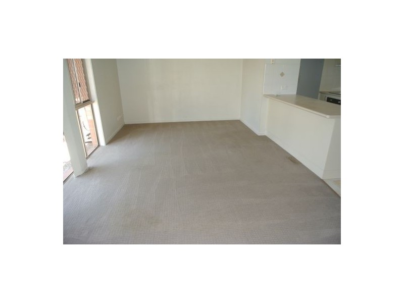 447 Watson Road, Acacia Ridge QLD 4110