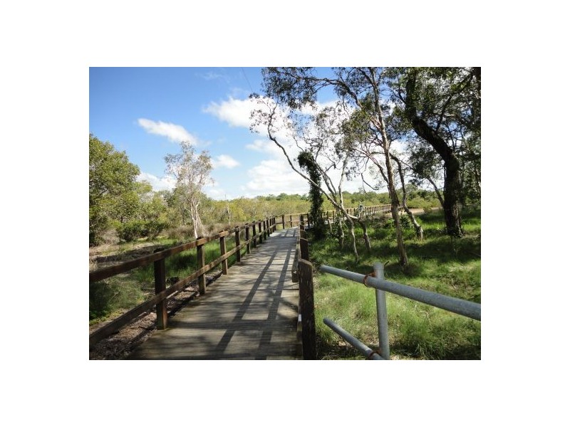 10 Wilfred St, Lota QLD 4179