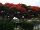 U27 / 22 Barbet Place, Burleigh Waters QLD 4220