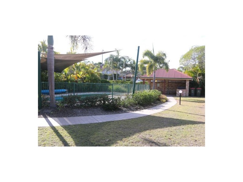 17/85 Muriel Ave, Moorooka QLD 4105