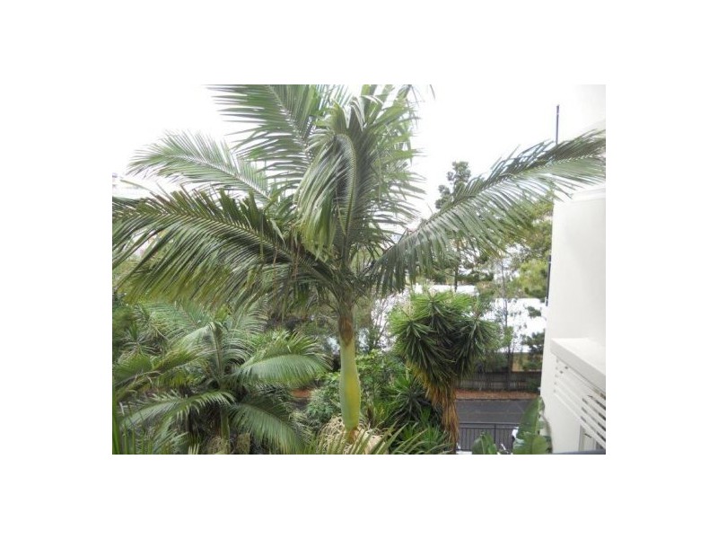 39/451 Gregory Terrace, Spring Hill QLD 4000