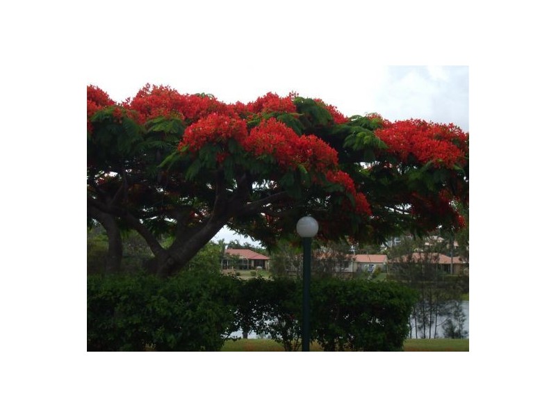 u64 22barbet place, Burleigh Waters QLD 4220