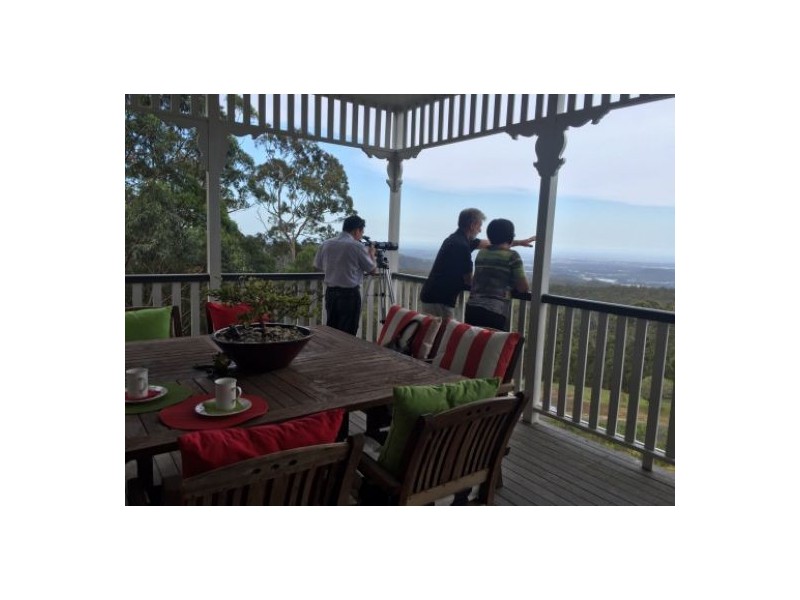 14. Eagles Retreat Place, Tamborine Mountain QLD 4272