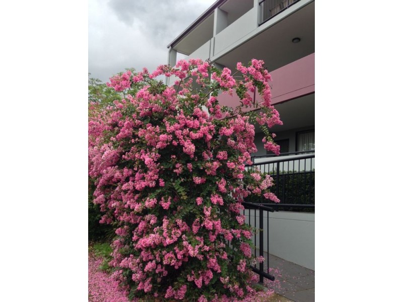 Upper Mount Gravatt QLD 4122