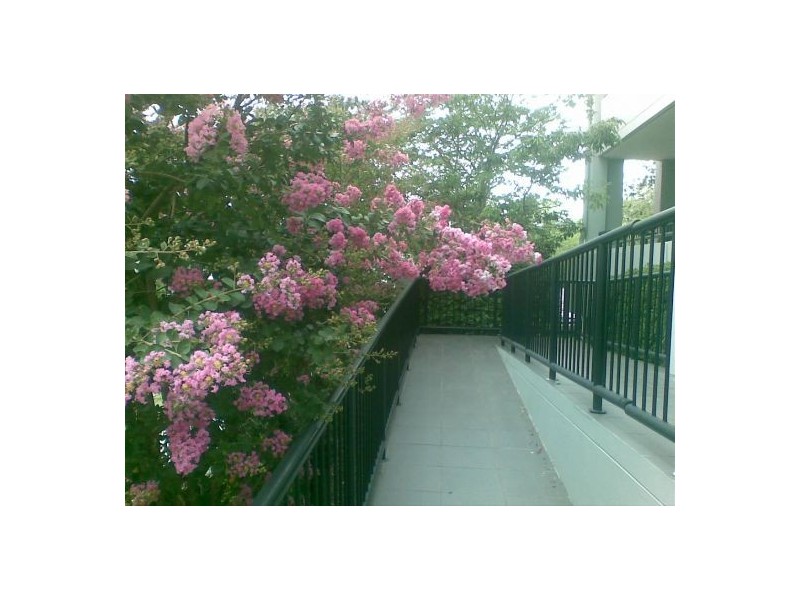 Upper Mount Gravatt QLD 4122