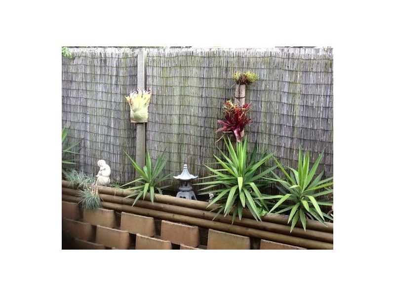 14 PROTEA PL, Drewvale QLD 4116