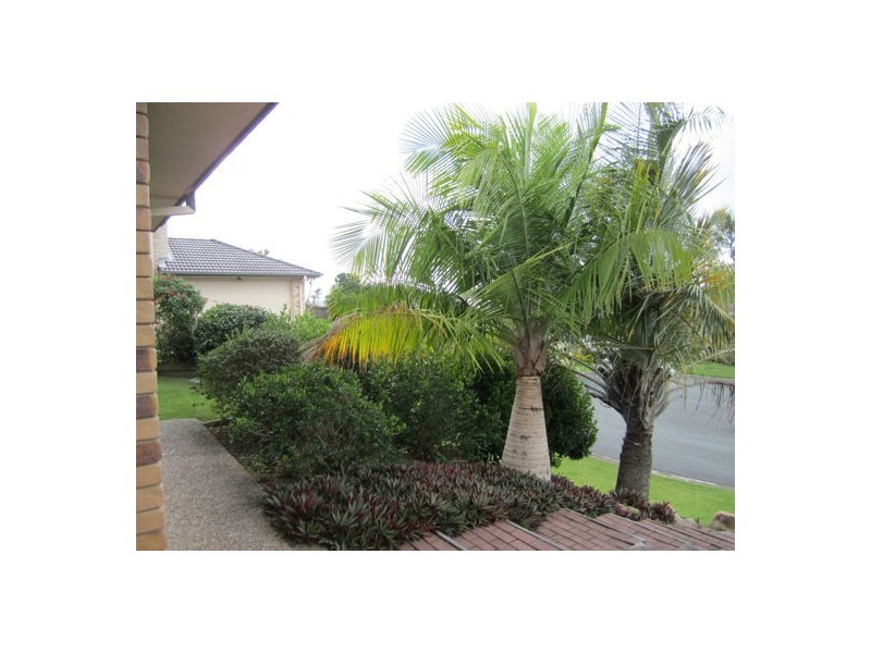 14 PROTEA PL, Drewvale QLD 4116