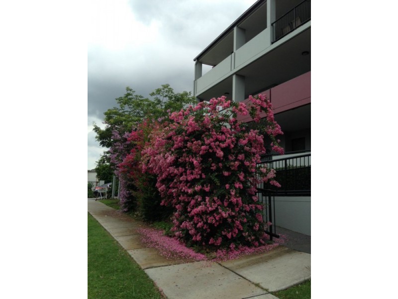 Upper Mount Gravatt QLD 4122