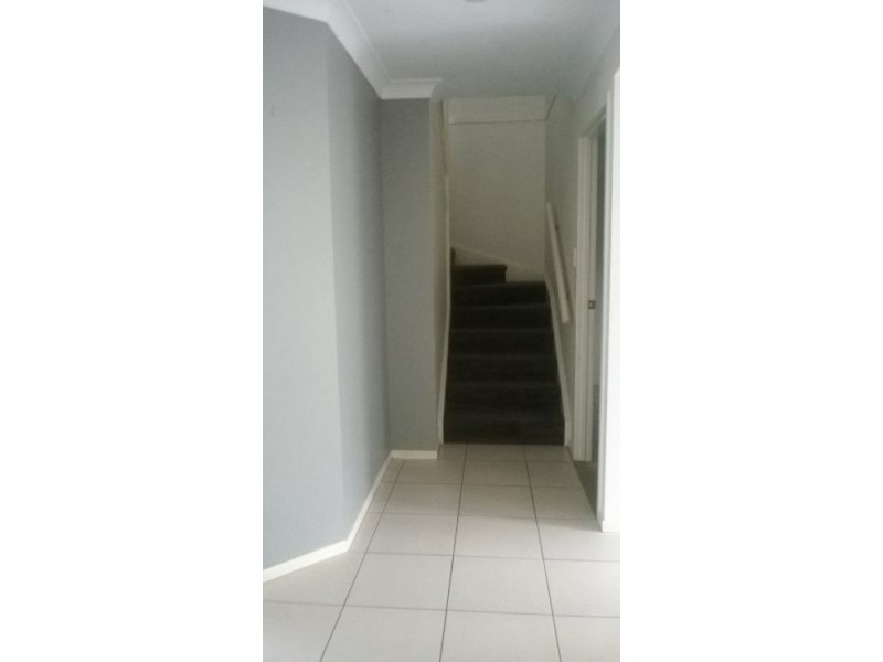 113h Castle Hill Drive,, Murrumba Downs QLD 4503