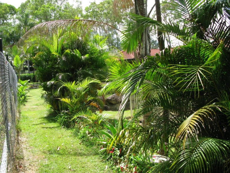 Park Ridge QLD 4125