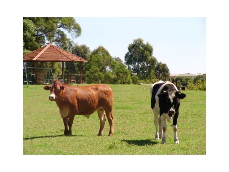 15 danyenah st, Loganholme QLD 4129