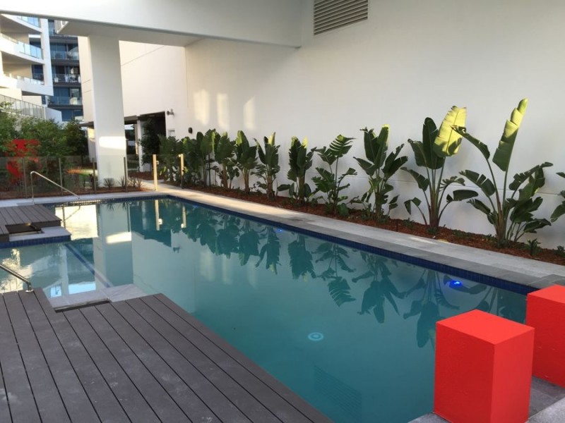 204/43 Harbour Town Drive, Biggera Waters QLD 4216