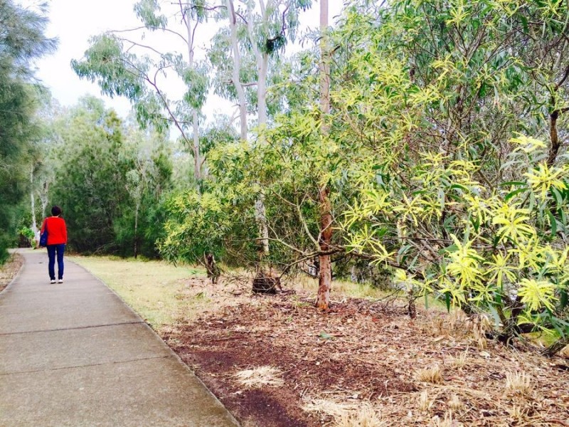 11/19 Island St, Cleveland QLD 4163