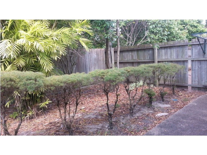 53/88 Bleasby Road, Eight Mile Plains QLD 4113