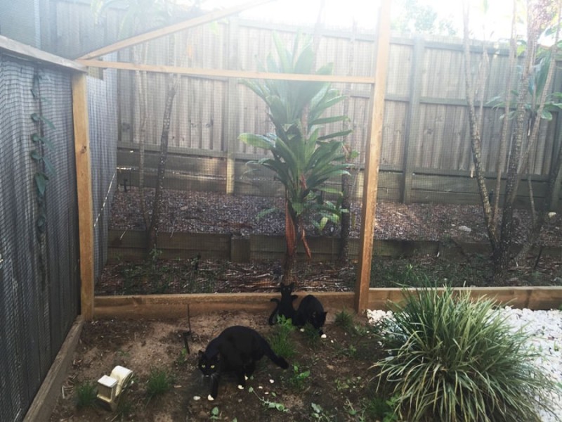 28 336 King Ave, Durack QLD 4077