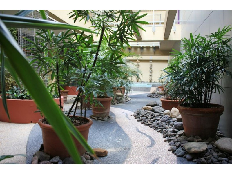 Level 5 /38 Warner Street, Fortitude Valley QLD 4006