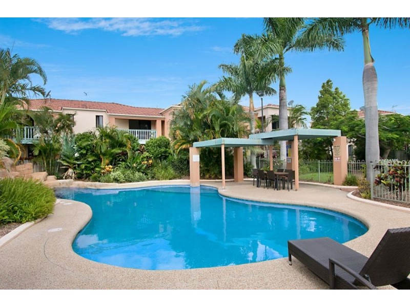 53/1 Warbler Parade, Varsity Lakes QLD 4227