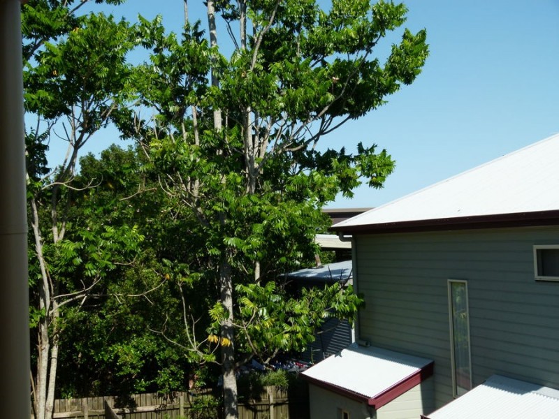 6/23 Norman Street, Annerley QLD 4103