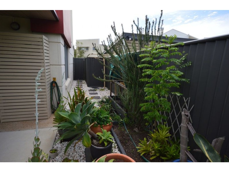 Mango Hill QLD 4509