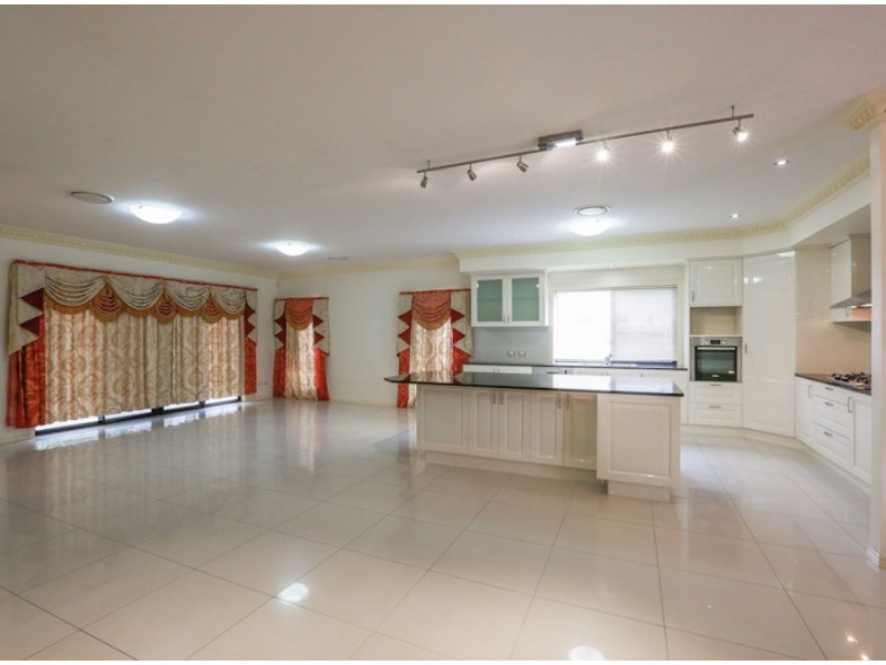 146 Hawthorn Circuit, Stretton QLD 4116