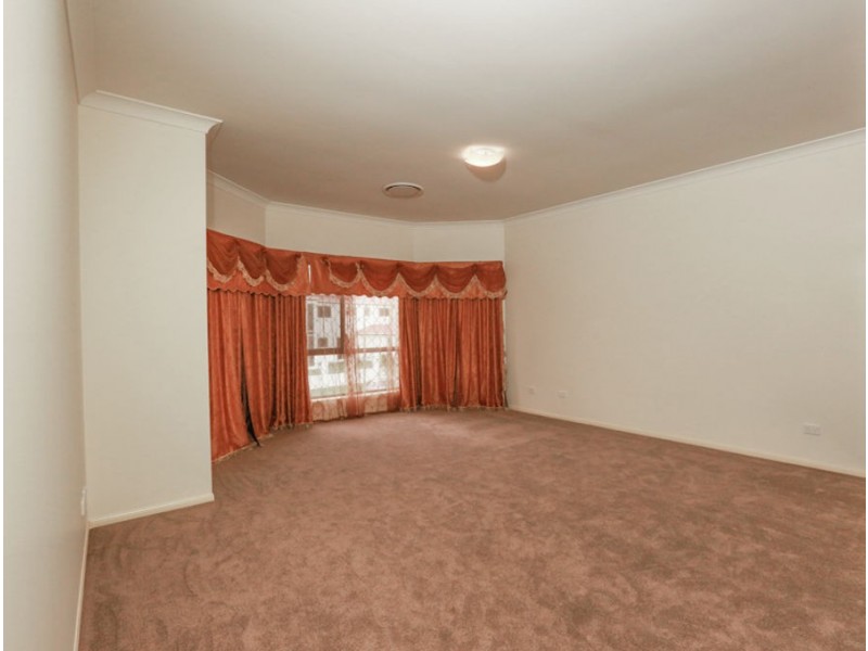 146 Hawthorn Circuit, Stretton QLD 4116