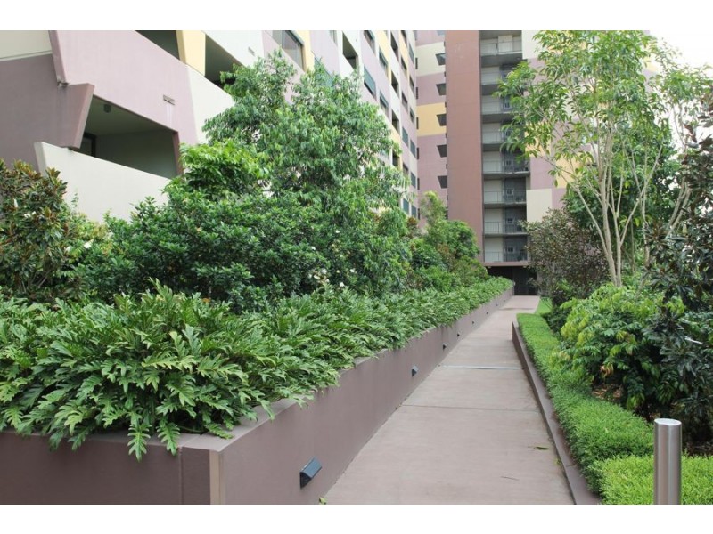 8 Musgrave street, West End QLD 4101