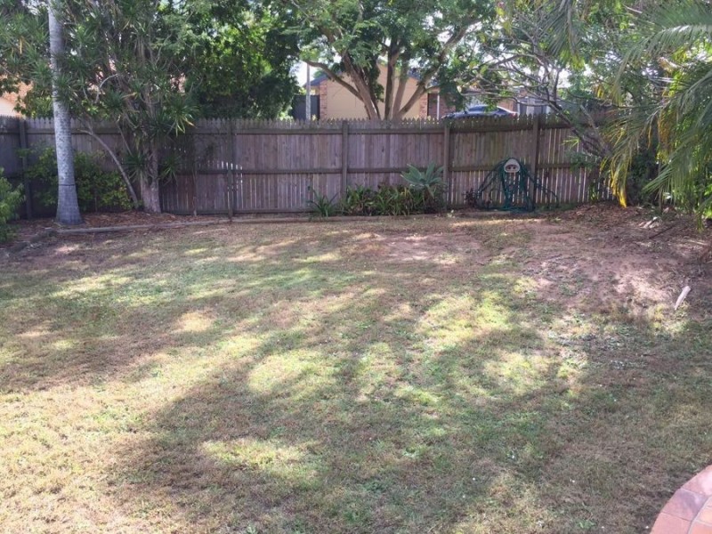 5 Cactus Ct, Eight Mile Plains QLD 4113