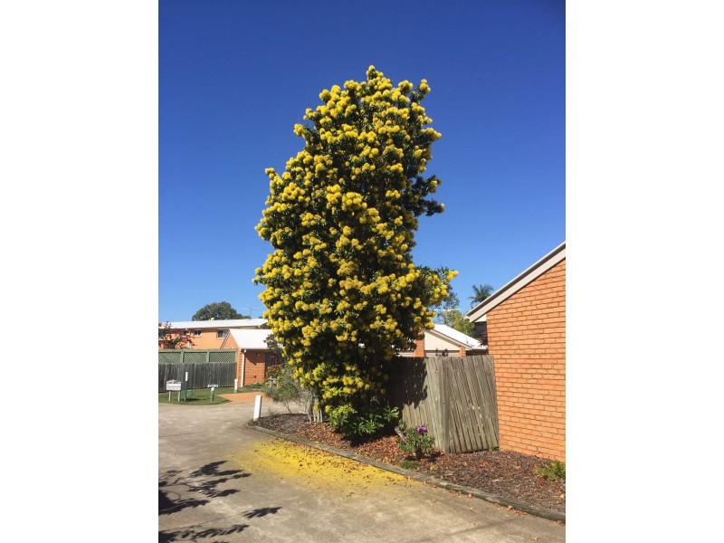 40 Leis Parade, Lawnton QLD 4501