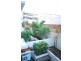 200A/82 Alfred Street, Fortitude Valley QLD 4006