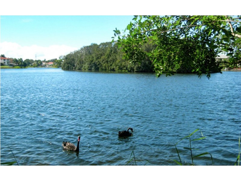 22 Pinnacle Court, Robina QLD 4226