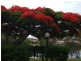 u60 22Barbet Place, Burleigh Waters QLD 4220