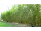 648 Priestdale Road, Rochedale South QLD 4123