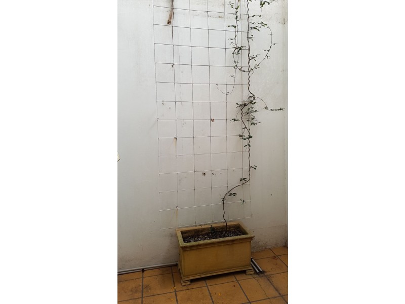 436 Ann Street, Brisbane City QLD 4000