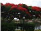 Burleigh Waters QLD 4220