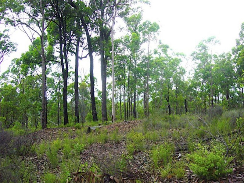 390-396 Tully Road, Greenbank QLD 4124