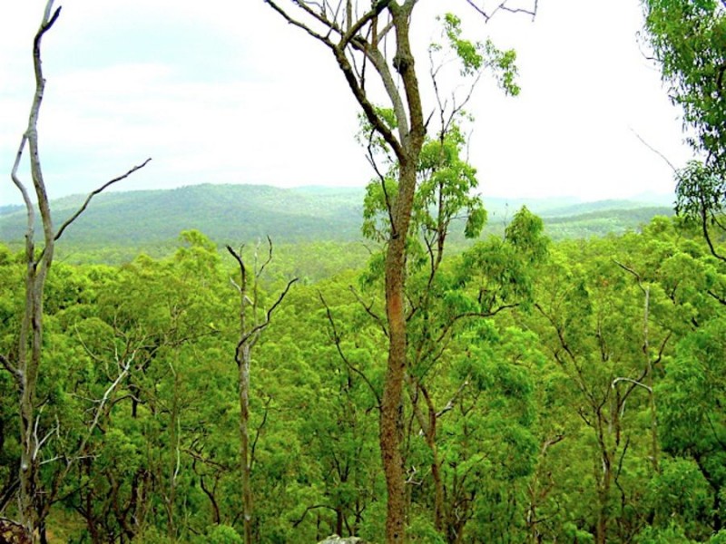 390-396 Tully Road, Greenbank QLD 4124