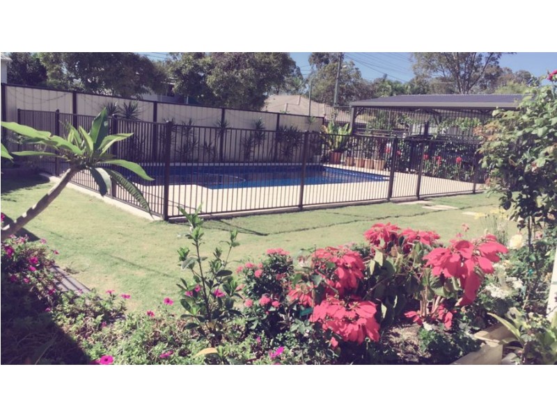 49 Blue-Gum Drive, Marsden QLD 4132