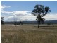 Tenterfield NSW 2372