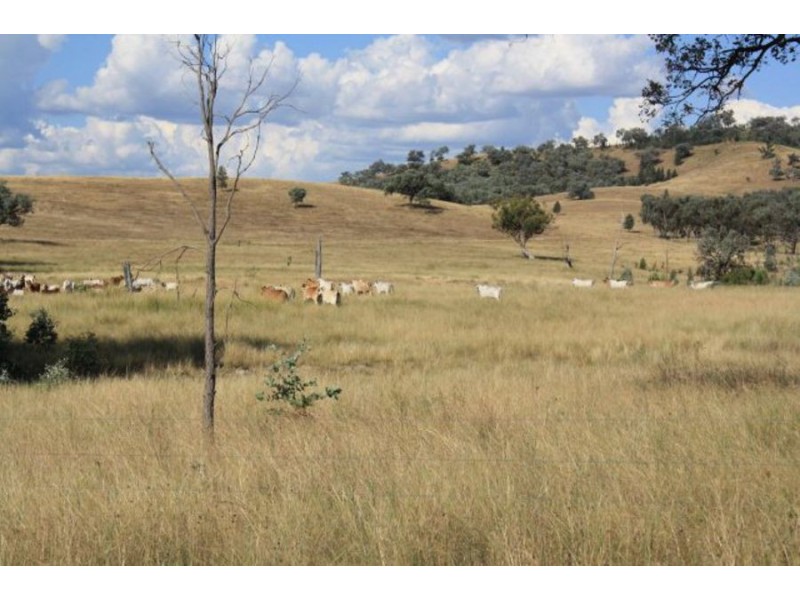 Tenterfield NSW 2372