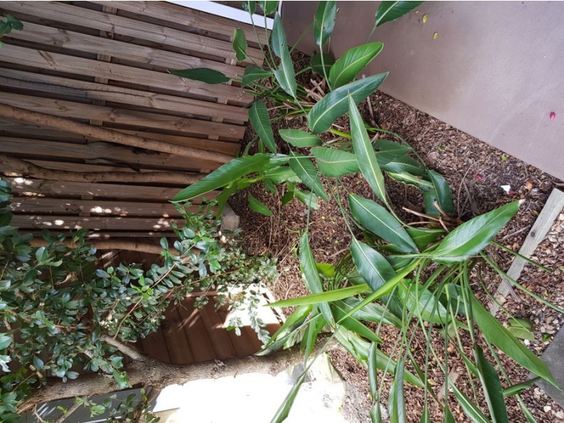 19/89 Northquarter Drive, Murrumba Downs QLD 4503