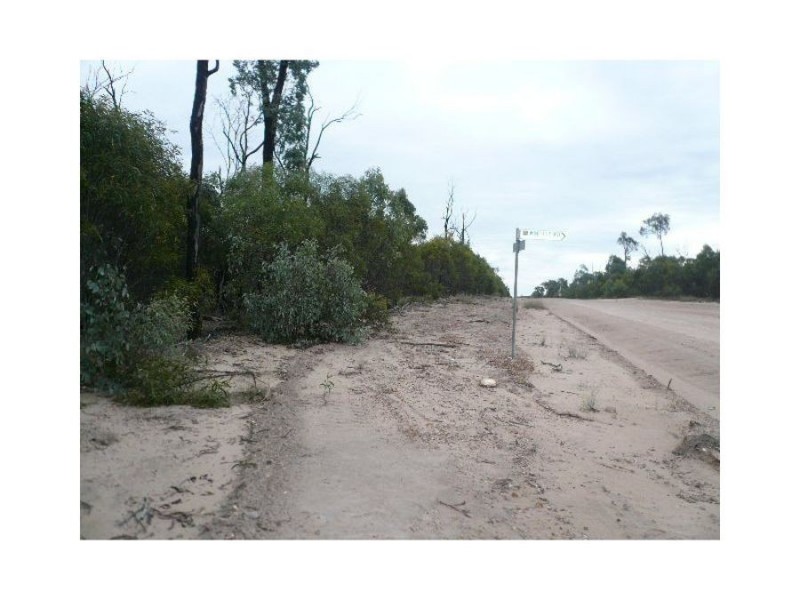 550 Orchard Rd, Tara QLD 4421