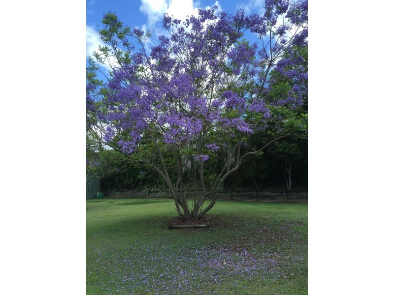 21/40 leis Parade, Lawnton QLD 4501