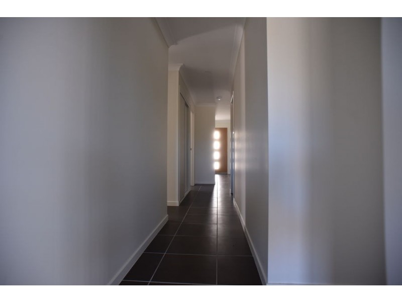 20 Benwerrin Street, Pimpama QLD 4209