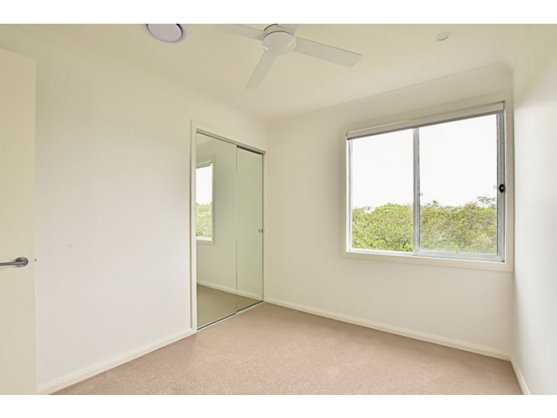 7 341 Macarthur Avenue, Hamilton QLD 4007